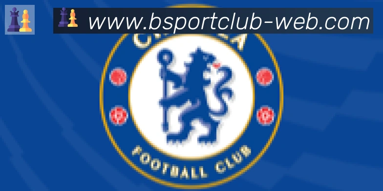 Bsports官网合作伙伴