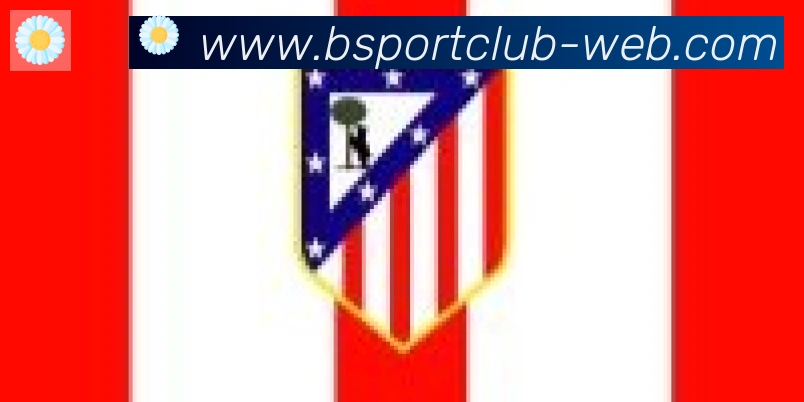 Bsports官网合作伙伴