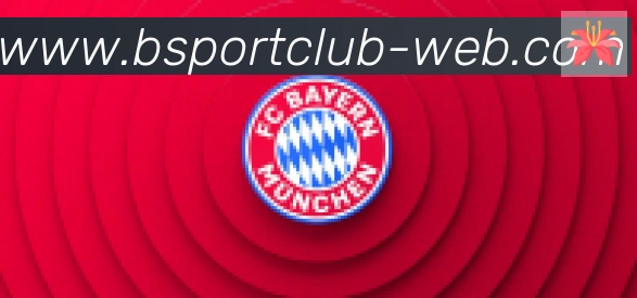 Bsports官网合作伙伴